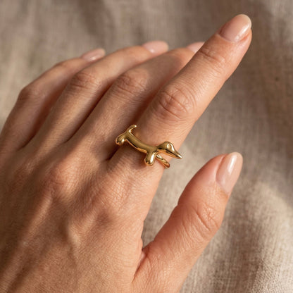 Anillo Teckel
