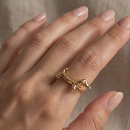 Anillo Teckel